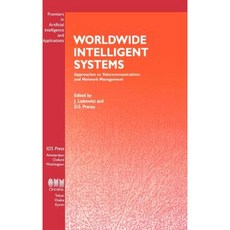 Worldwide Intelligent Systems Hardcover, IOS Press