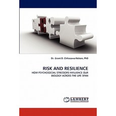 Risk and Resilience Paperback, LAP Lambert Academic Publishing