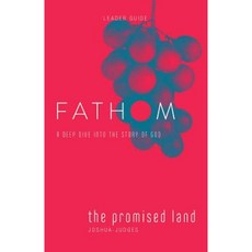 Fathom Bible Studies: The Promised Land Leader Guide: A Deep Dive Into the Story of God Paperback, Abingdon Press