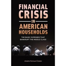 Financial Crisis in American Households: The Basic Expenses That Bankrupt the Middle Class Hardcover, Praeger