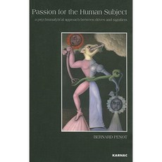 Passion for the Human Subject: A Psychoanalytical Approach Between Drives and Signifiers Paperback, Karnac Books