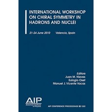 International Workshop on Chiral Symmetry in Hadrons and Nuclei: 21-24 June 2010 Valencia Spain Paperback, American Institute of Physics
