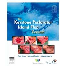 The Keystone Island Flap Concept in Reconstructive Surgery Paperback, Churchill Livingstone