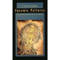 Dynamic Patterns: The Self-Organization of Brain and Behavior Paperback, Bradford Book