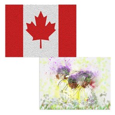 Bellamusic 矽膠餐墊 自行車花盆 + 加拿大國旗, 混合顏色, 385 x 285 mm, 1個