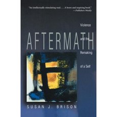 Aftermath: Violence and the Remaking of a Self Paperback, Princeton University Press