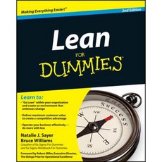 Lean for Dummies Paperback