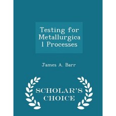 Testing for Metallurgical Processes - Scholar's Choice Edition Paperback