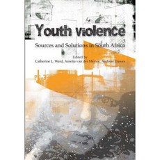 Youth Violence: Sources and Solutions in South Africa Paperback, University of Cape Town Press