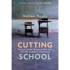 Cutting School: Privatization Segregation and the End of Public Education Hardcover, New Press