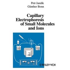Capillary Electrophoresis of Small Molecules and Ions 精裝版, Wiley-Vch