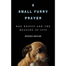 A Small Furry Prayer: Dog Rescue and the Meaning of Life Hardcover, Bloomsbury Publishing PLC