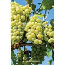 Grapes: Journal Notebook 6 X 9 Inches Paperback, Createspace Independent Publishing Platform
