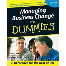 Managing Business Change for Dummies 平裝版