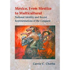 Mexico from Mestizo to Multicultural: National Identity and Recent Representations of the Conquest Paperback, Vanderbilt University Press