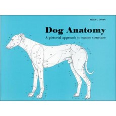 Dog Anatomy: A Pictorial Approach to Canine Structure Paperback, J. A. Allen