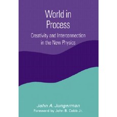 World in Process: Creativity and Interconnection in the New Physics Paperback, State University of New York Press