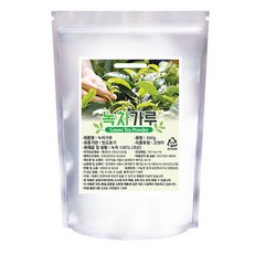 Herbseoul 綠茶粉, 300克, 1個