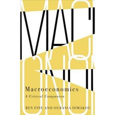 Macroeconomics: A Critical Companion Paperback, Pluto Press (UK)