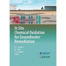 In Situ Chemical Oxidation for Groundwater Remediation Hardcover, Springer