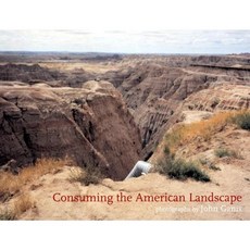 消費美國風景精裝本, 黛維劉易斯出版公司