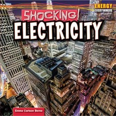 Shocking!: Electricity Library Binding, PowerKids Press