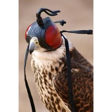 Falconry Notebook Paperback, Createspace Independent Publishing Platform