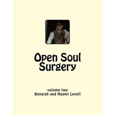 Vol. 2 Open Soul Surgery Large Print Edition: Seven Flames: Letters to Manasseh Paperback, Createspace Independent Publishing Platform
