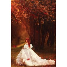 An Autumn Bride Journal: 365 Day Journal Diary Notebook Paperback, Createspace Independent Publishing Platform