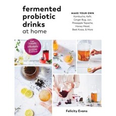 Fermented Probiotic Drinks at Home: Make Your Own Kombucha Kefir Ginger Bug Jun Pineapple Tepache Honey Mead Beet Kvass and More Paperback, Experiment