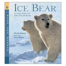 Ice Bear: In the Steps of the Polar Bear paperback, Candlewick Pr