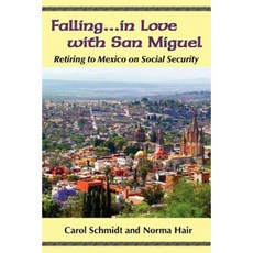 愛上生力啤酒平裝本, 莎莎佛得出版社