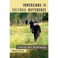 Immersions in Cultural Difference: Tourism War Performance Paperback, University of Michigan Press