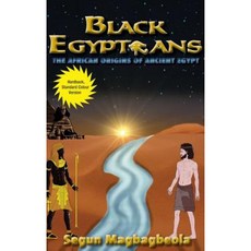 Black Egyptians: The African Origins of Ancient Egypt Hardcover, Akasha Publishing Ltd