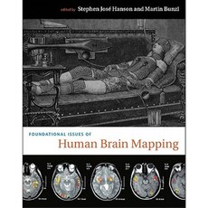 Foundational Issues in Human Brain Mapping Paperback, Bradford Book