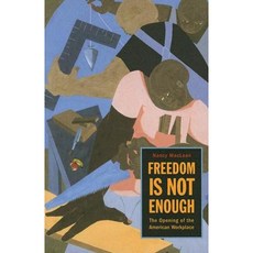 Freedom Is Not Enough: The Opening of the American Workplace Paperback, Harvard University Press