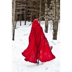 Little Red Riding Hood Photo Journal: Little Red Riding Hood Photo Journal Paperback, Createspace Independent Publishing Platform