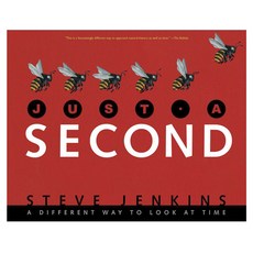 Just a Second: A Different Way to Look at Time Paperback, Houghton Mifflin Harcourt