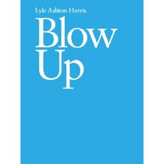 Lyle Ashton Harris: Blow Up Paperback, Gregory R. Miller & Company