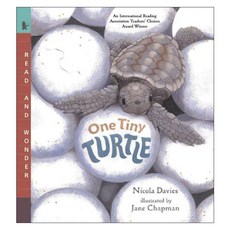 One Tiny Turtle Paperback, Candlewick Pr