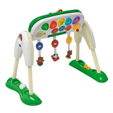 치코 디럭스 아기 체육관 모양 맞추기 완구, 혼합 색상, 1개