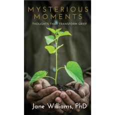 Mysterious Moments: Thoughts That Transform Grief Hardcover, Library Partners Press