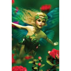 Wild Flower Fairy Journal: 365 Day Journal Diary Notebook Paperback, Createspace Independent Publishing Platform