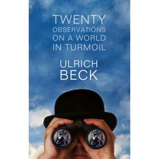 Twenty Observations on a World in Turmoil 平裝版, Polity Press