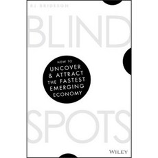 Blind Spots: How to Uncover and Attract the Fastest Emerging Economy Paperback, Wiley