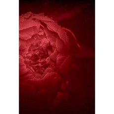 Red Flower Peony Notebook Paperback, Createspace Independent Publishing Platform