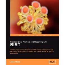 Practical Data Analysis and Reporting with Birt Paperback, Packt Publishing