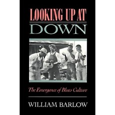 Looking Up at Down Paperback, Temple University Press
