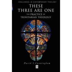 These Three Are One: The Practice of Trinitarian Theology the Practice of Trinitarian Theology 平裝版, Wiley-Blackwell