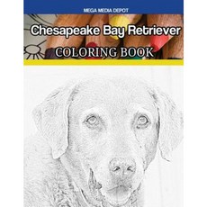 Chesapeake Bay Retriever Coloring Book Paperback, Createspace Independent Publishing Platform